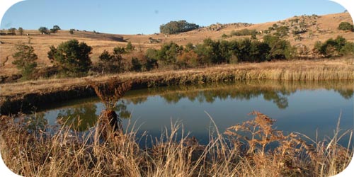 Mantjolo Pool