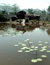 Memorial pond