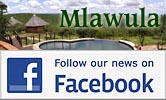 Mlawula on Facebook