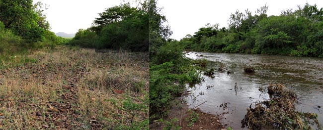 Siphiso River, dry and in flood