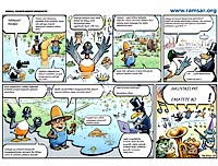 RAMSAR wetlands cartoon