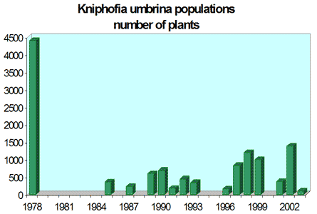 Kniphofia umbrina populations