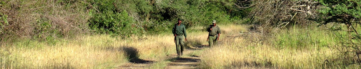 Patrolling, Mlawula Nature Reserve