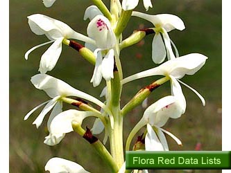 Flora Red Data Lists