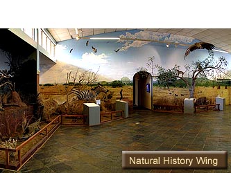 Natural History Wing