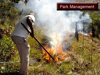 Park Management