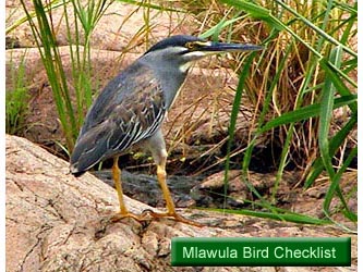 Mlawula Bird Checklist