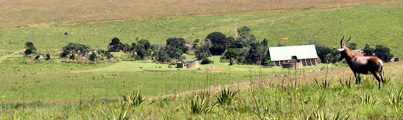 Malolotja Main Campsite