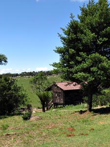 Log cabins in Malolotja