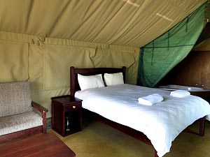 Safari tent, SARA camp