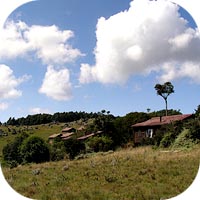 Log cabins in Malolotja