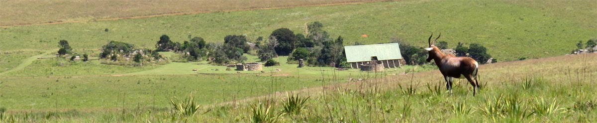 Malolotja Campsite