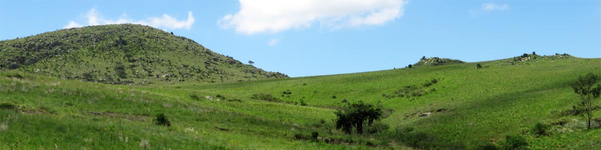 View towards Ntabamhlope hill, Malolotja