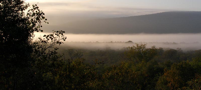 Early morning mist, Maphelephele Cottage