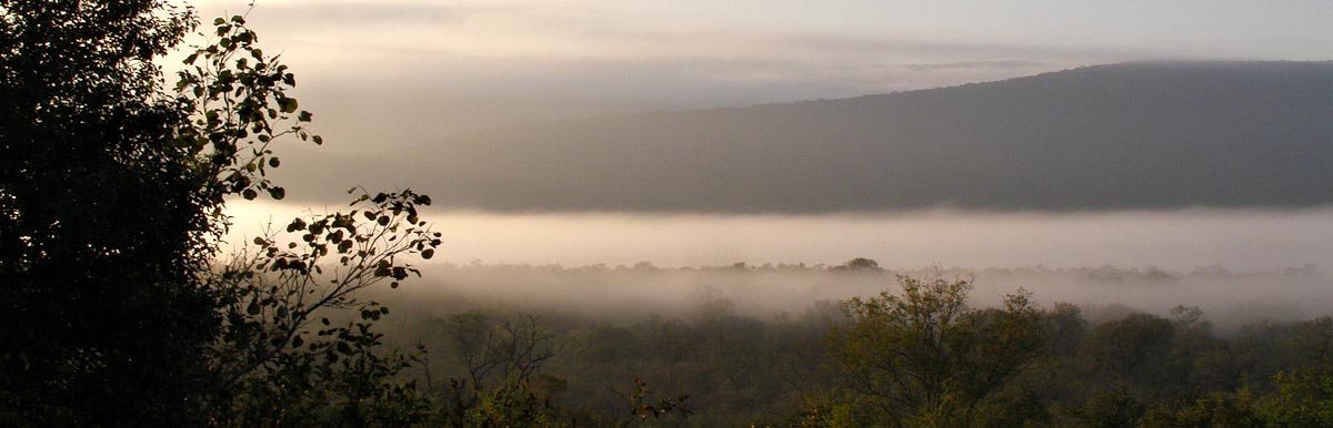 Morning mist from Maphelephele Cottage, Mlawula