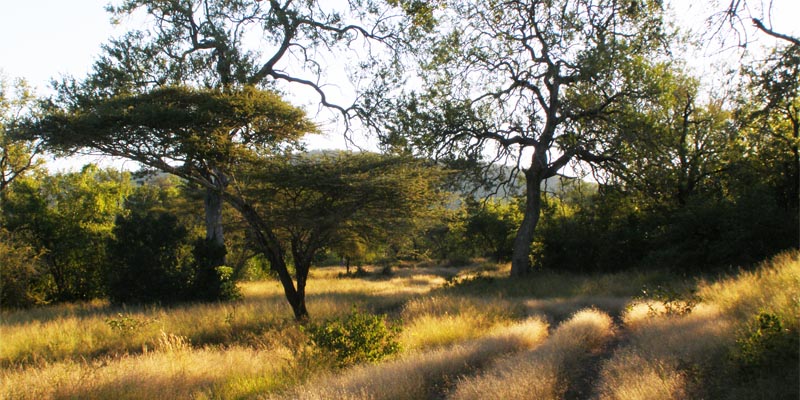 Mlawula Nature Reserve
