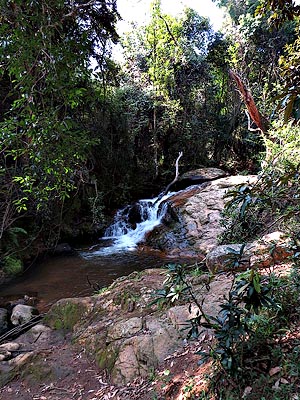 Stream near Mantenga Falls